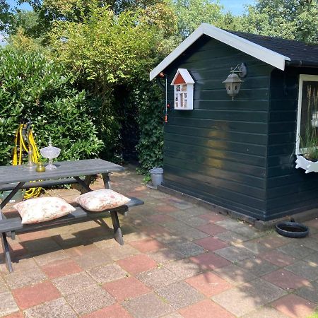 Vila Charmant Chalet Op Een Bospark Op De Veluwe Putten Exteriér fotografie
