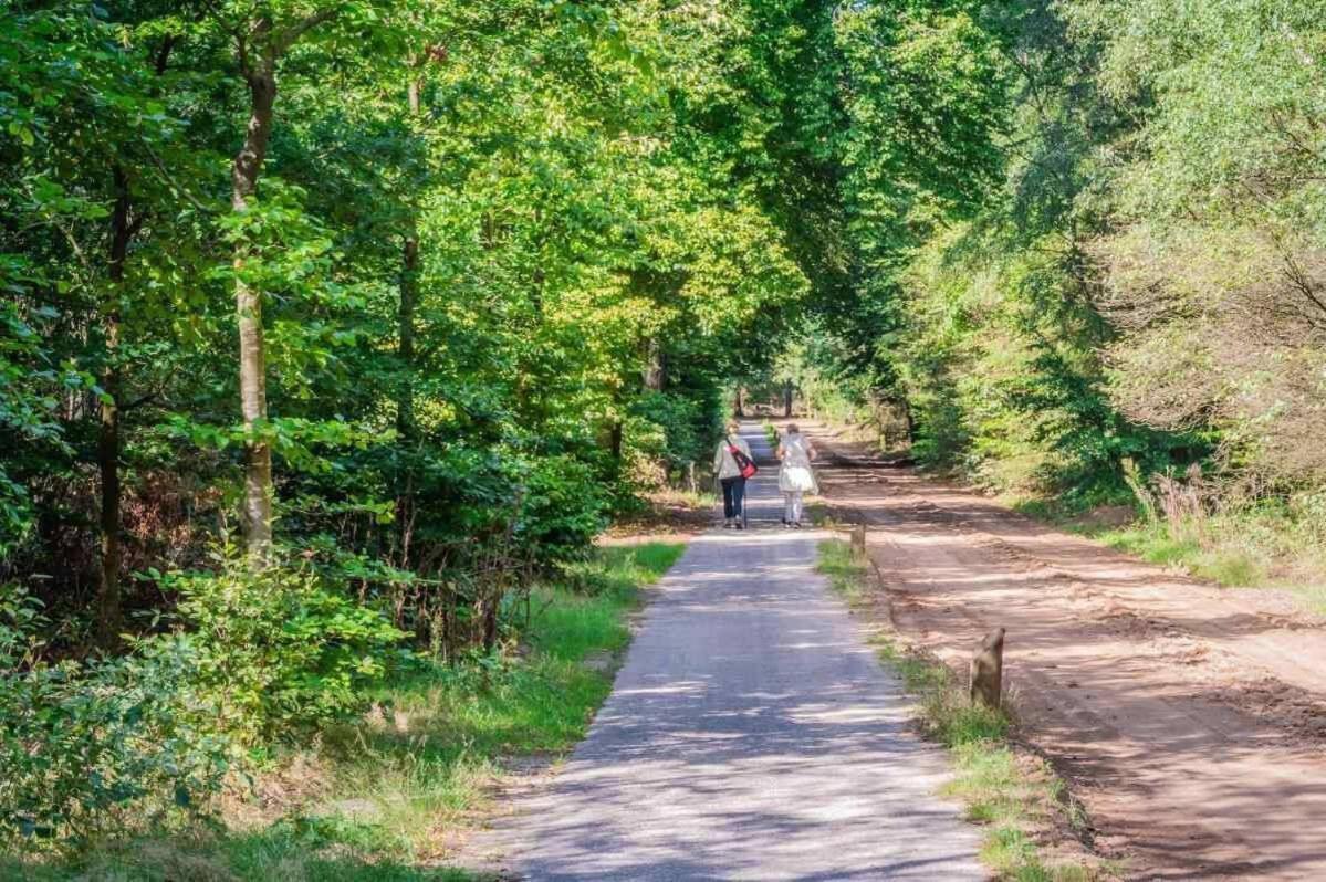 Vila Charmant Chalet Op Een Bospark Op De Veluwe Putten Exteriér fotografie